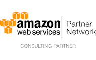 apn consulting partner